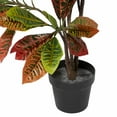 thumbnail image 5 of DecMode Traditional Green/Red Croton Artificial Plant with Black Round Pot, 27"W x 50"H, 5 of 9