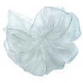 thumbnail image 1 of Offray 415627 0.62 in. Wired Edge Encore Ribbon - 25 Yards, White - No. 3, 1 of 1
