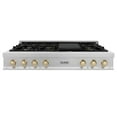 thumbnail image 2 of ZLINE KITCHEN AND BATH RTSZ48G grsurf, 2 of 5