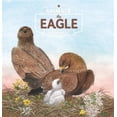thumbnail image 2 of The Eagle (Animals in the Wild), 2 of 3