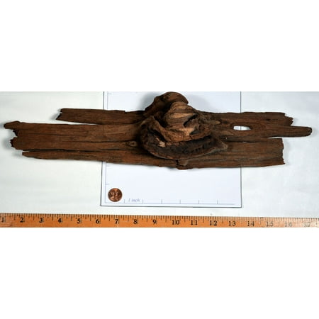 Natural Driftwood Pieces For Sale - Large 3 pieces per bat 10-18in. Long 3-6in. Wide Brown/Beige -- Single