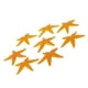 thumbnail image 1 of modelo de estrella de mar,Juguete para niños, 1 of 7
