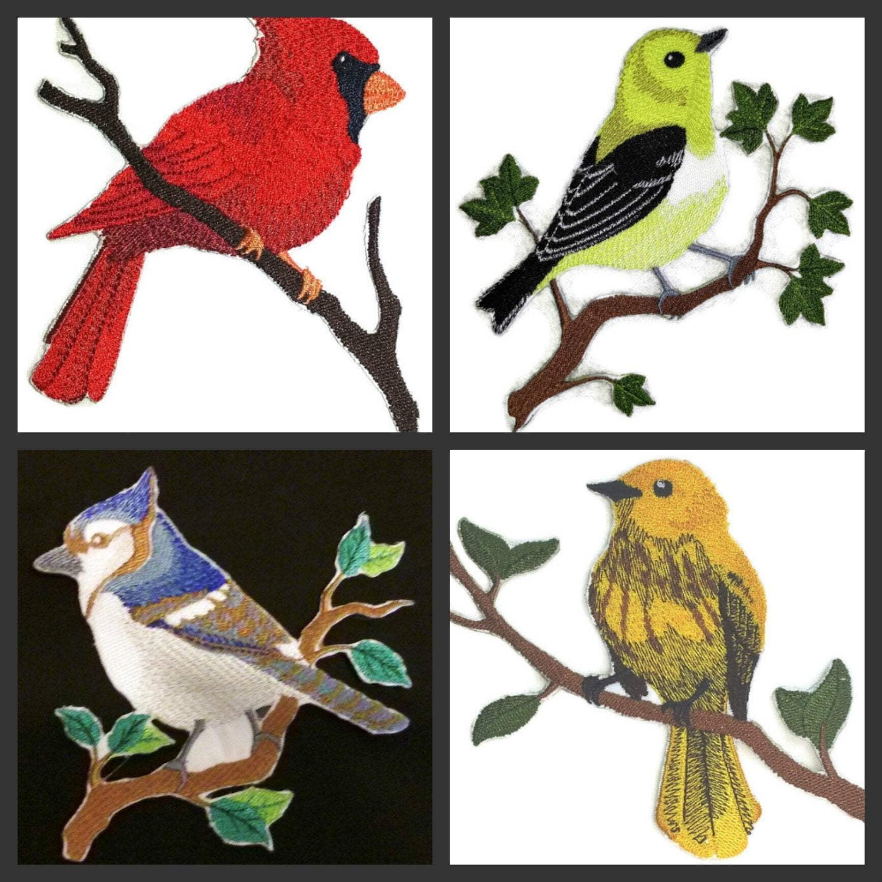 Single Carolina Wren Bird Embroidered Iron on/Sew patch [5.9" X 5.4"]