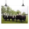 thumbnail image 2 of Print: Meadowbank Farm Located On Highway 84 In A Bend Of The Alabama, 2 of 4