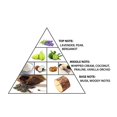 thumbnail image 3 of Extracto de perfume Al Haramain Emotion Irisee, extracto de perfume, 100 ml, 3 of 3