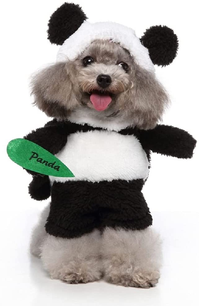 dog in a panda suit