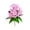 Pink, variant on ToyKingdee Artificial Star Flower Bouquet, Lush Faux Floral Bush for Home Decor and Event Arrangements