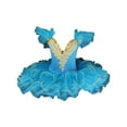 thumbnail image 4 of Vividxx Toddler Girls Dresses Ballet Dress For Girls Playful Dance With Soft Net Overskirt For Performances And 2-3 Years, 4 of 4