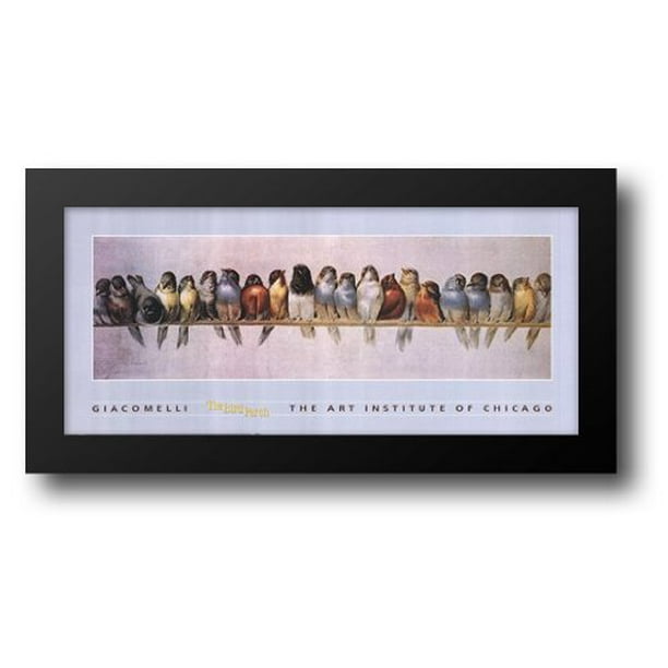 Hector The Bird Perch 40x20 Framed Art Print by Hector