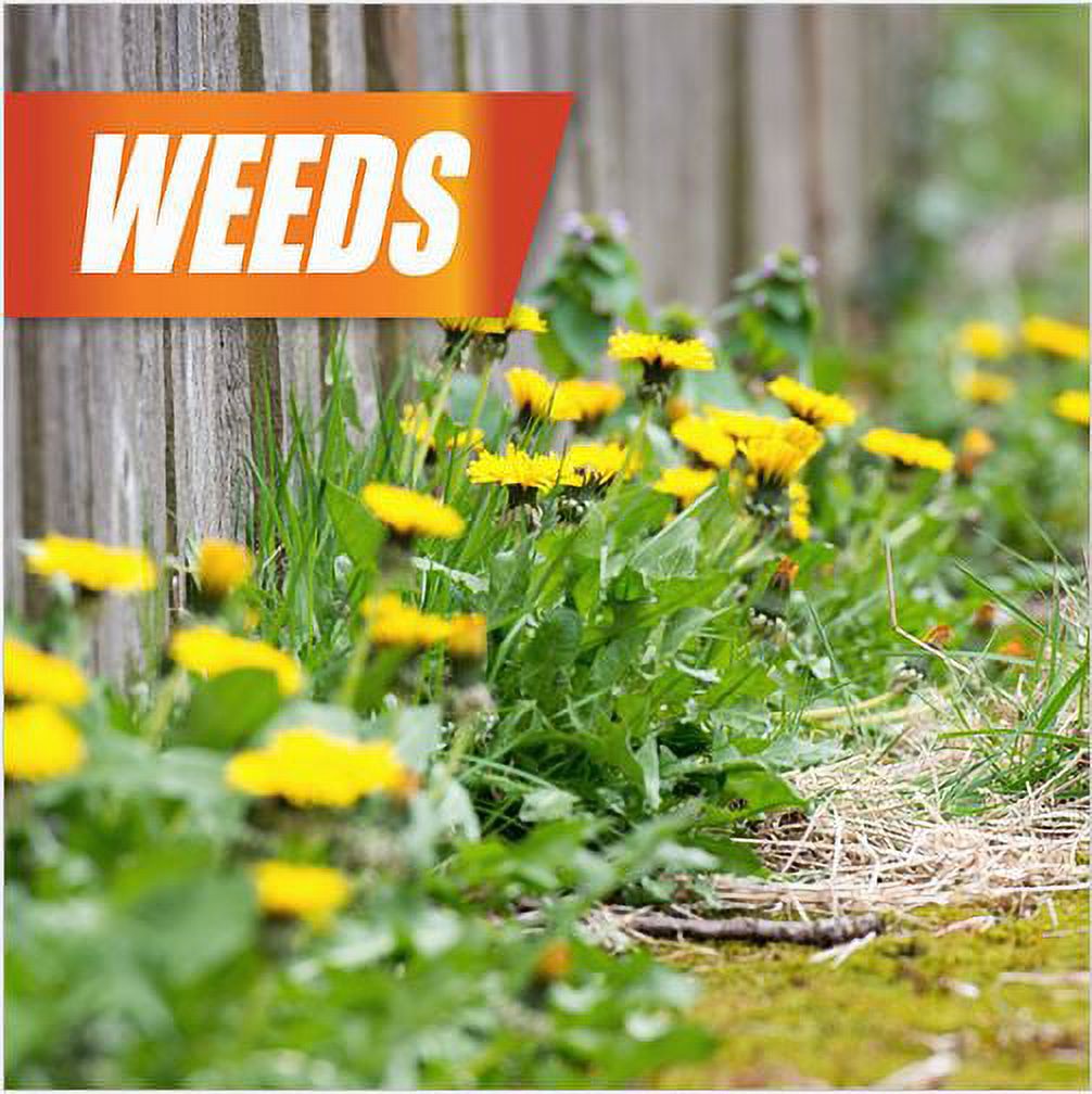 Pulverize Weed, Brush & Vine Killer 1 Gallon Ready to Use with Nested Trigger