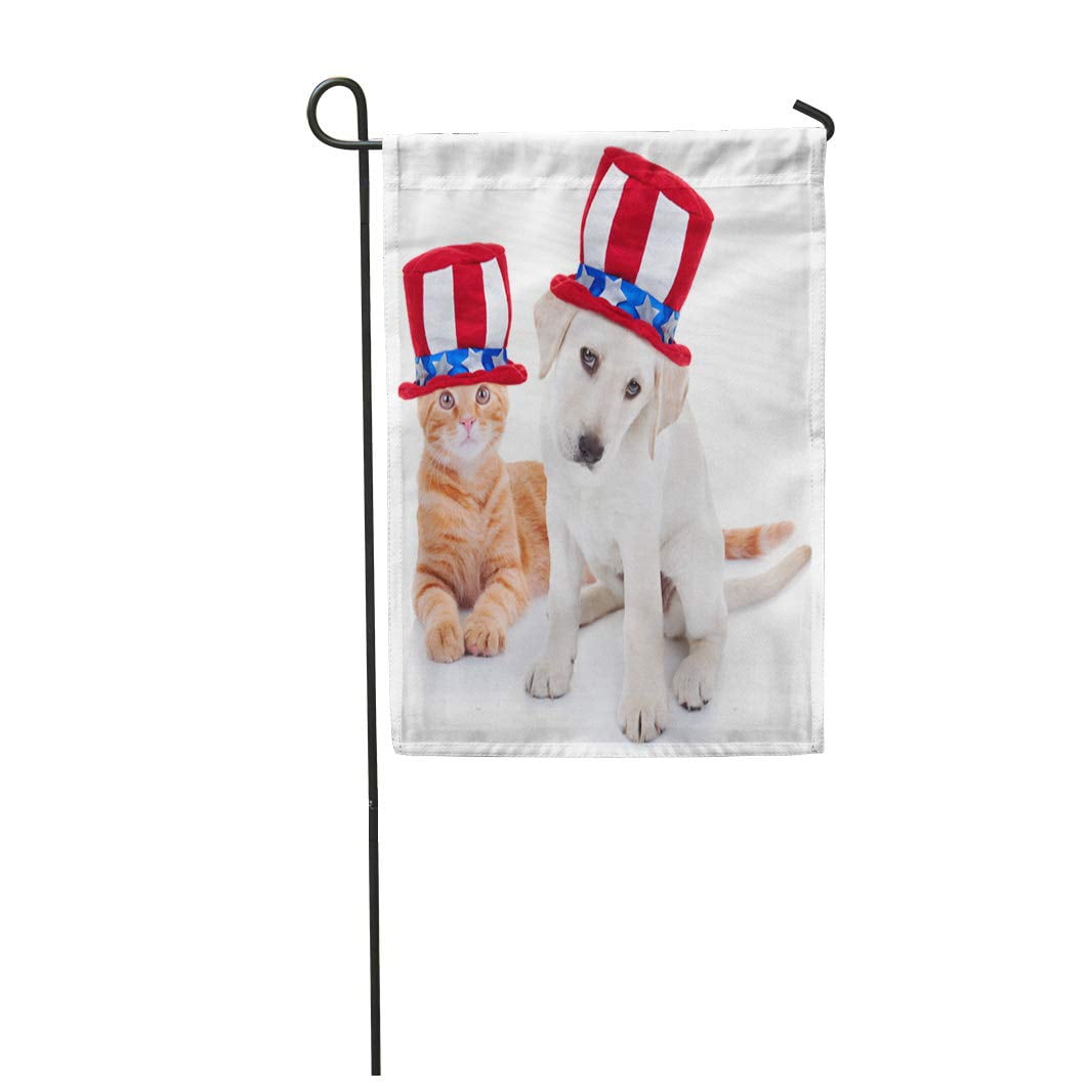 Nudecor Patriotic Happy American Pet Kitten Cat And Puppy Dog Garden Flag Decorative Flag House Banner 12x18 Inch Walmart Canada
