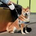 thumbnail image 3 of axGear Dog Leash Retractable Pet Walking Lead Collar Auto Extendable Blue 16Ft 5M, 3 of 8