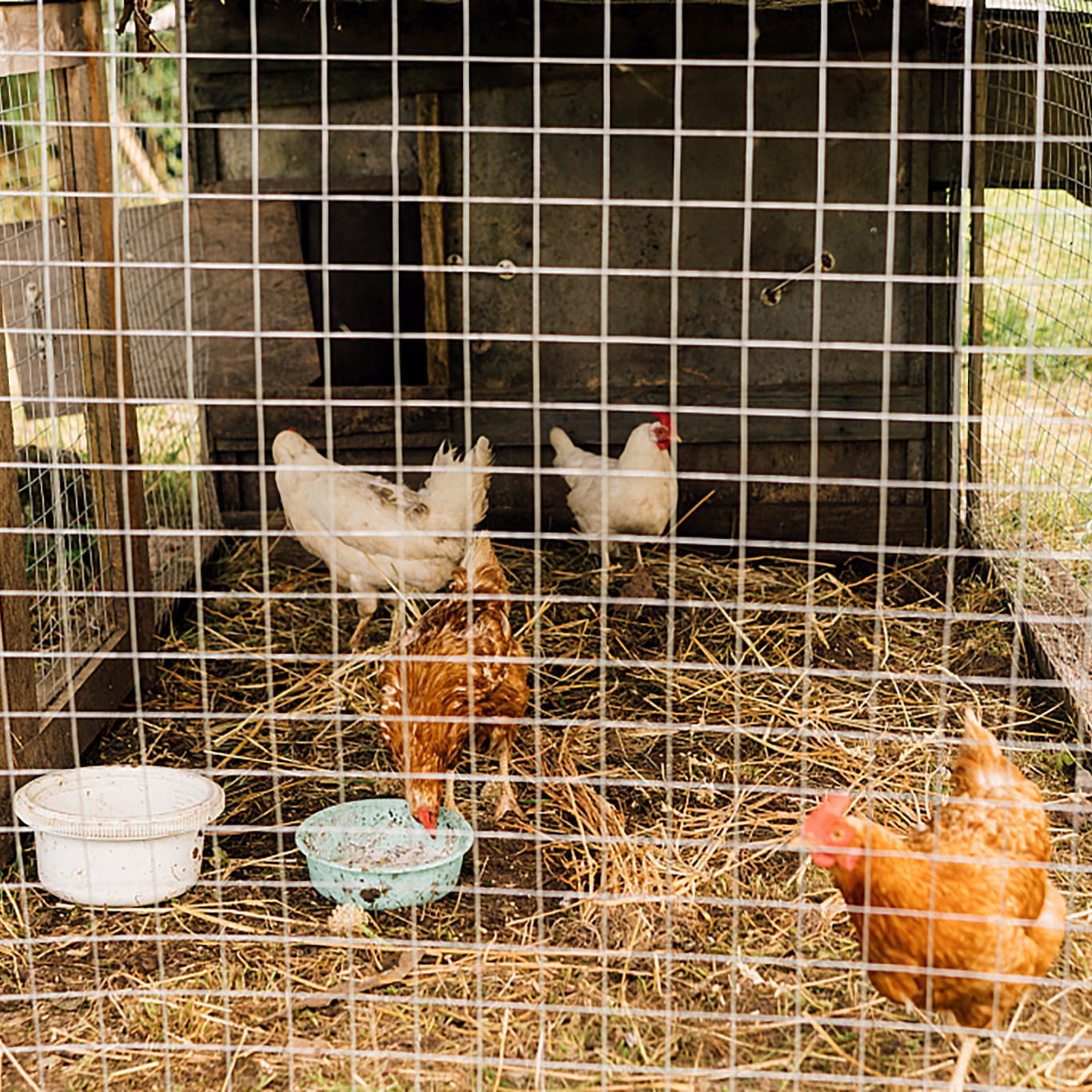 23 Gauge Hardware Cloth 36inx100ft 1/4 " Galvanized Welded Wire Metal Mesh Roll, Rabbit Fencing Snake Fence For Chicken Run Critters Gopher Racoons Opossum Rehab