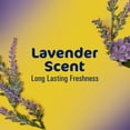 thumbnail image 6 of Fabuloso 10X Concentrated Gel, Multi-Purpose Cleaner, Toilet Cleaner, Floor Cleaner, Lavender Scent, 12 fl oz Bottle, 6 of 14