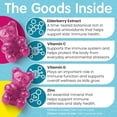 thumbnail image 4 of Elderberry Gummies for Kids with Vitamin C & Zinc | Kids Immune Support | Daily Defense During Seasonal Changes | Natural Antioxidant Support for Immune Health | 30 Gummies, 4 of 7