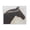 Majestic Mare in Profile, variant on Stupell Industries The Mare In Profile Black Framed Floater Canvas Wall Art, design by Jadei Graphics