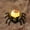 Red, variant on Ufehgfjh Flameless Candle Flameless Candles Halloween Eye Light Spideres Back Explosion Eye Candle Light Party Mood Decoration Supplies LED Pumpkin Light