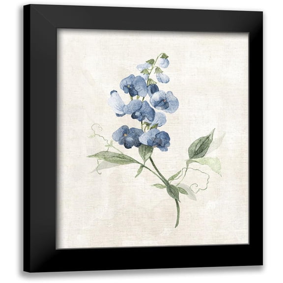 Robinson, Carol 12x14 Black Modern Framed Museum Art Print Titled - Farmhouse Periwinkle II