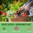 thumbnail image 3 of Wondertree Organics Neem Natural Fertilizers, 4 lbs with 2-1-1 NPK, OMRI Listed, 3 of 9