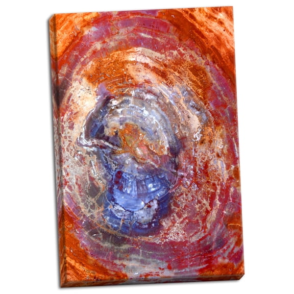 Gango Home Decor Slice of Color by Douglas Taylor (Ready to Hang); One 24x36in Hand-Stretched Canvas