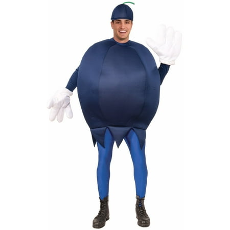 Deluxe Blueberry Costume for Adults