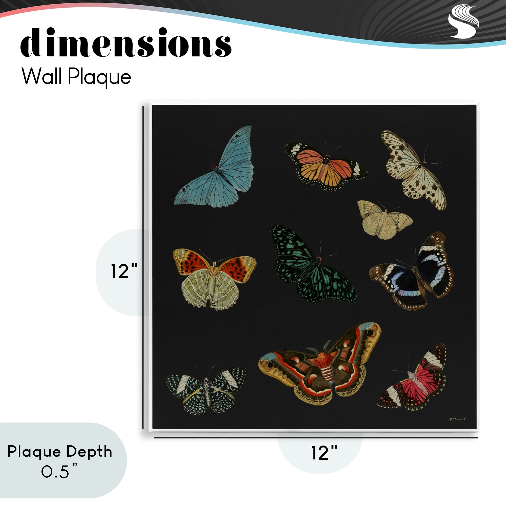 Stupell Industries Insects Group on Black Wall Plaque Art, design by Dan Meneely