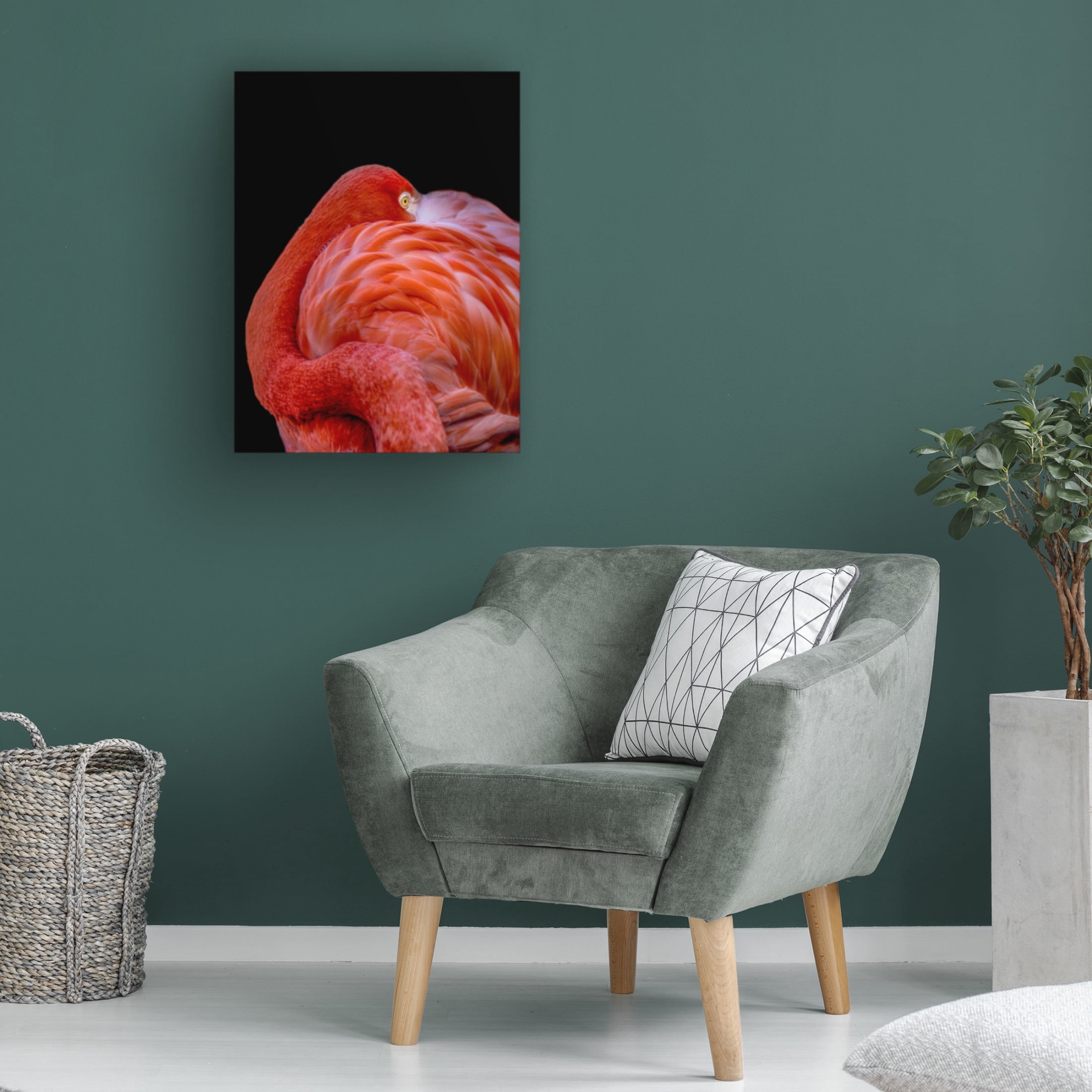 Canvas Wall Art - Chris Coenders 'Flamingo' Wall Art for Living Room, Bedroom, or Office D?cor by Trademark Fine Art - 24 x 32 Inches