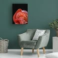 thumbnail image 3 of Canvas Wall Art - Chris Coenders 'Flamingo' Wall Art for Living Room, Bedroom, or Office D?cor by Trademark Fine Art - 35 x 47 Inches, 3 of 4