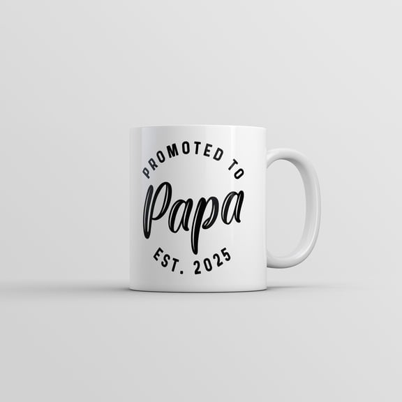 Promoted to Papa 2025 Mug Funny Sarcastic Family New Baby Graphic Novelty Coffee Cup