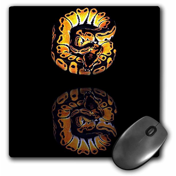 3dRose Ball Python, Mouse Pad, 8 by 8 inches - Walmart.com