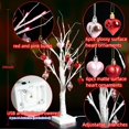 thumbnail image 3 of Decoración de San Valentín Efunly: árbol de abedul iluminado de 61 cm, USB y pilas, 3 of 5