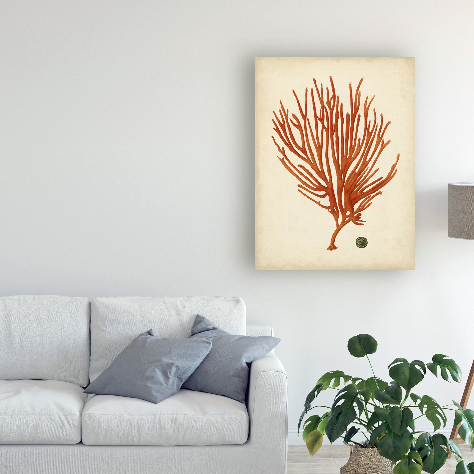 Trademark Fine Art 'Antique Red Coral IV' Canvas Art by Vision Studio