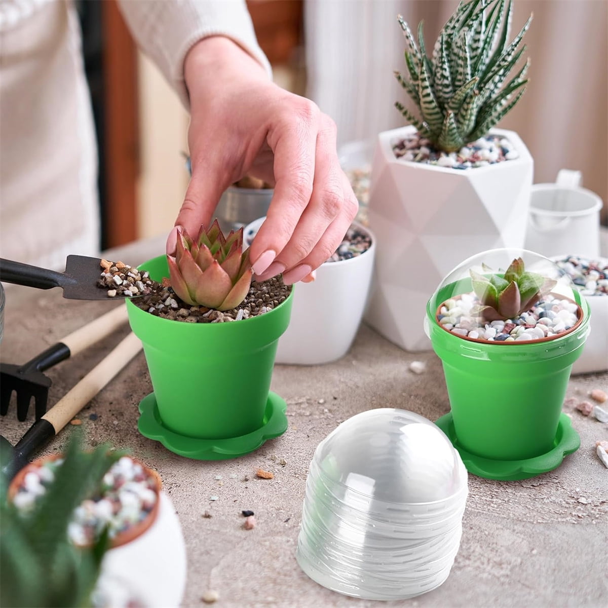 Plastic Cake Cup Plant Pots with Dome & Bottom- GIXUSIL Mousse Ice Cream Pudding Containers Cups- Small Flower Pots for Plant Succulent Vegetable - Baking Molds (20 Packs, Green)