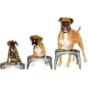 Right Height Elevated Food and Water Bowl