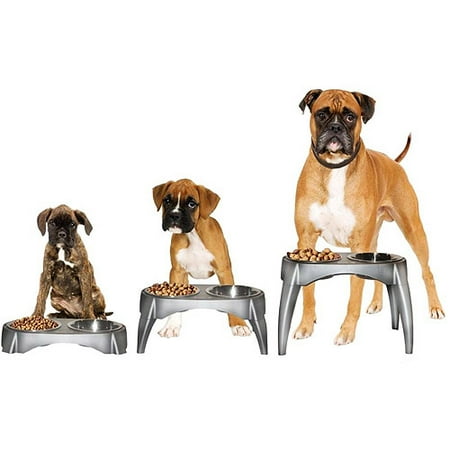 Right Height Elevated Food and Water Bowl