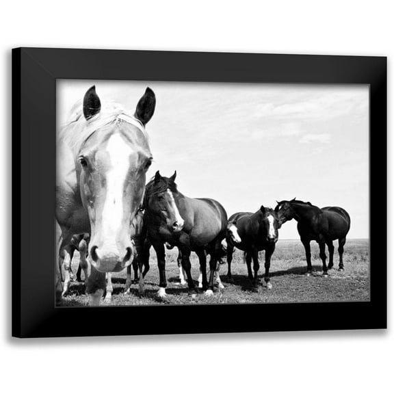 Corpeny, Peggy 14x12 Black Modern Framed Museum Art Print Titled - Wild Whispers I