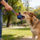 thumbnail image 4 of Pelota de neumático para mascotas con cuerda elástica, juguete de entrenamiento para perros, pelota para masticar y morder, perfecta para juego interactivo, molares de goma., 4 of 6