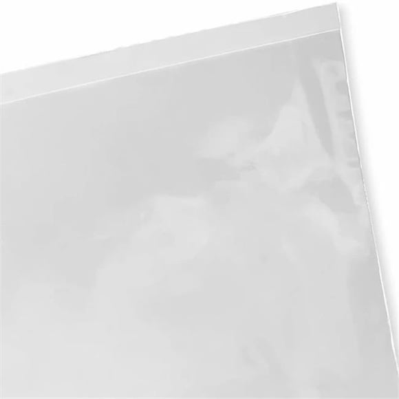 International Plastics PB22848 28 x 48 in. 2 Mil Flat Low Density Polyethylene Bags, Clear - Pack of 250