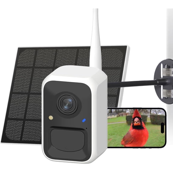 by Birdfy Upgraded  Bird Feeder Camera, Solar ,  Bird Video Capture,  Notifications, AI Identify 6000  Species