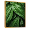 thumbnail image 2 of Designart "Embracing Exotic Palmscape In Emerald Hues II" Palms & Palm Trees Floater Framed Canvas Prints, 2 of 5