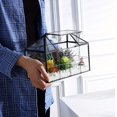 thumbnail image 4 of EASTIN A Large Golden/Black Glass Container for Plants  Featuring a Glass Greenhouse with Weatherproof And Fireproof Design  Suitable for Greenery And Bonsai  Shaped Like a House for Desk, 4 of 5