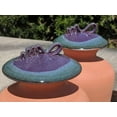 thumbnail image 4 of Large 1.25 Gallon Olla for Garden Watering * Perfect for Large Garden Beds * Porous Terracotta Self-Watering Irrigation Pot (Purple & Blue Lid), 4 of 13
