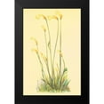 thumbnail image 2 of PI Collection 13x18 Black Modern Framed Museum Art Print Titled - One Flowered Root, 2 of 5