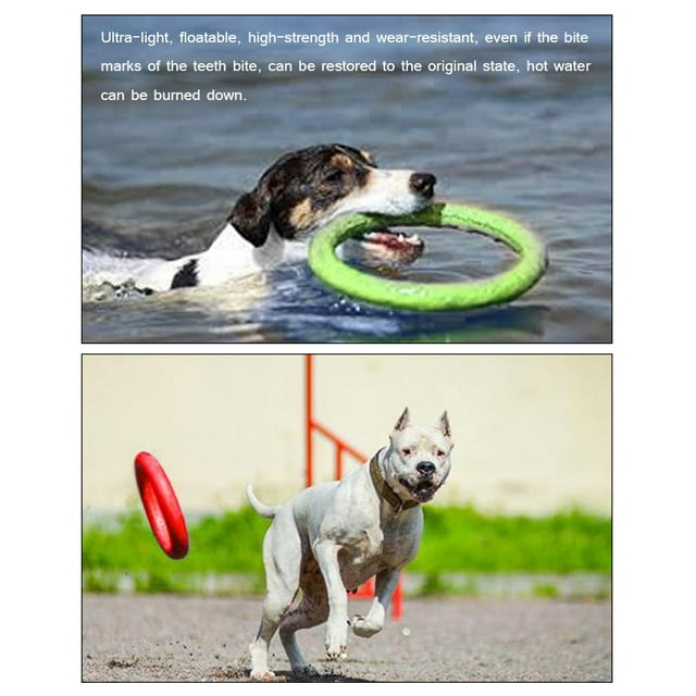 Anillo para mascotas, anillo para mascotas, platillo volador de entrenamiento de EVA, juguetes para perros, anillos de ejercicio de entrenamiento de EVA, claridad notable