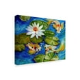 thumbnail image 2 of Trademark Fine Art 'Dance Of The Koi 2' Canvas Art by Marcia Baldwin, 2 of 3