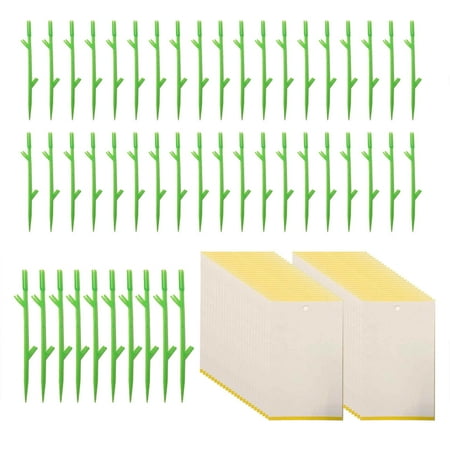 Stakes Indoor Fruit 50PCS Gnat Sticky Patio & Garden
