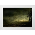 thumbnail image 1 of Rizani, Nunu 32x23 White Modern Wood Framed Museum Art Print Titled - Misty Morning, 1 of 4