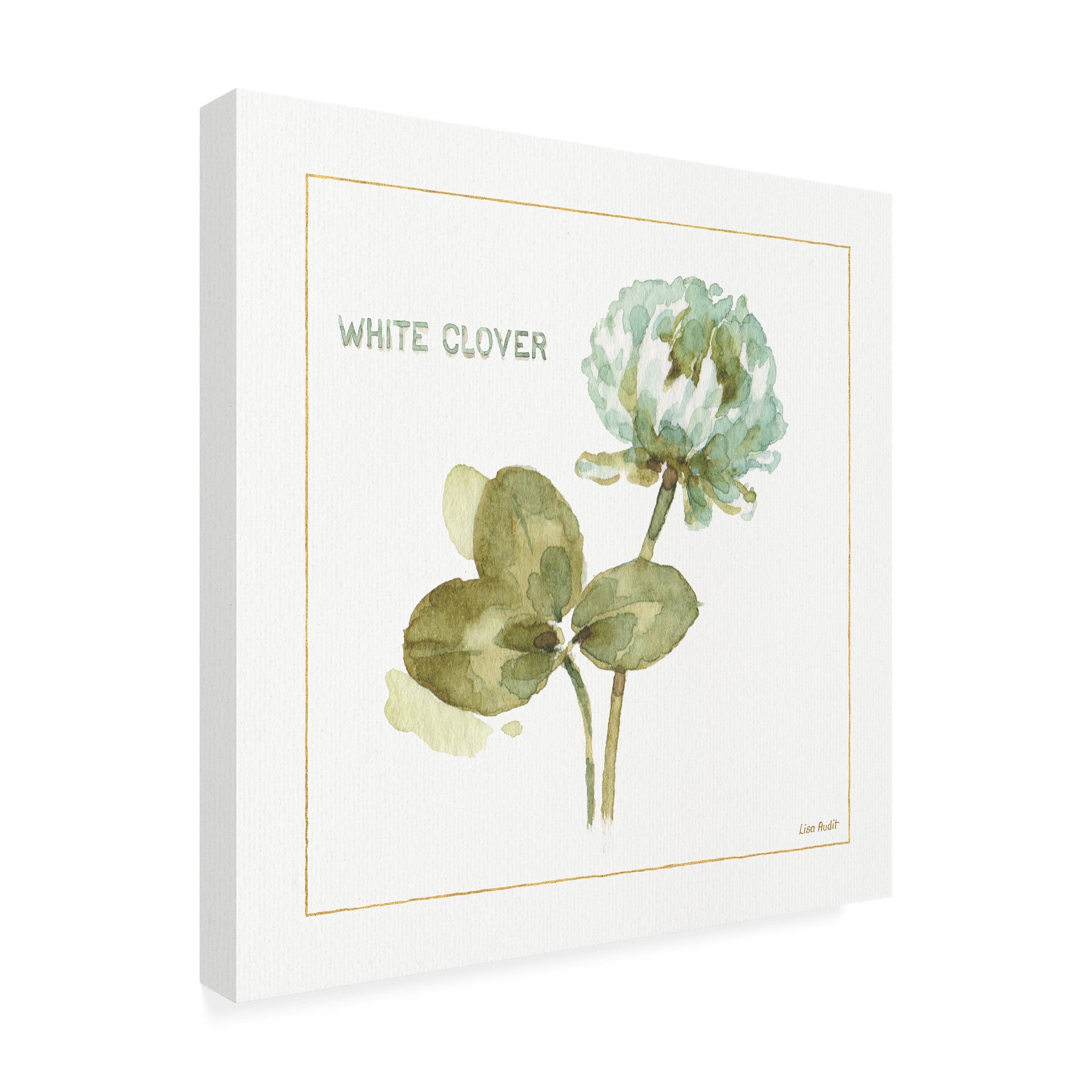 Trademark Fine Art "My Greenhouse Clover" Canvas Art by Lisa Audit