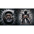 thumbnail image 1 of Pintura de diamante 5D DIY taladro redondo completo araña letra C decoración arte artesanía 30x30cm, 1 of 7