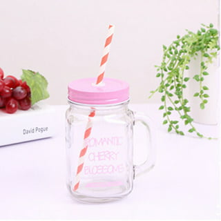 Cupture Double Wall Insulated Plastic Mason Jar Tumbler Mug with Striped  Straws - 20 oz, 3 Pack 